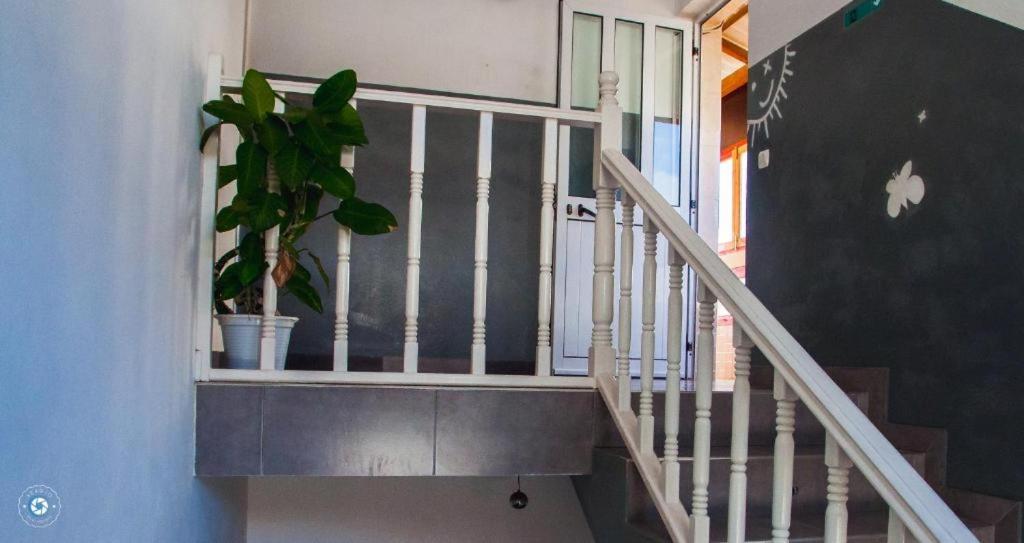 Bed and Breakfast Kolina D'Sol Ponta Do Sol Exterior foto